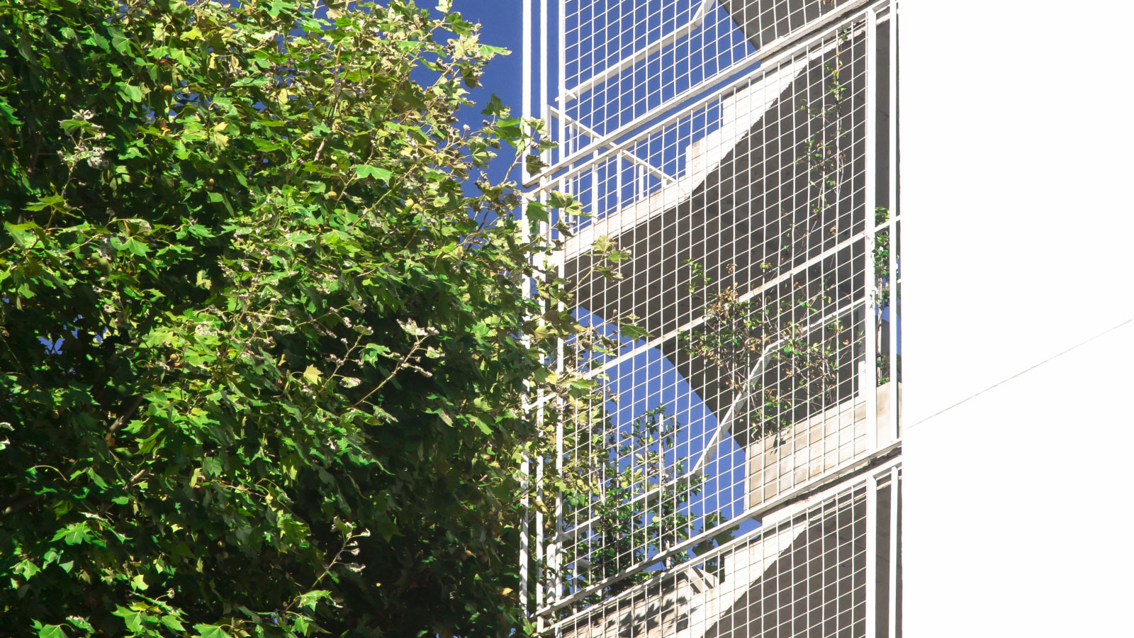 Giorello 1494 | ARQCO - arquitectura colectiva